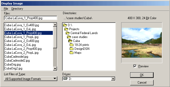 A screengrab of a display image dialog.