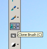 A screengrab of the highlighed clone brush button.