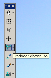 A screen grab of the highlighted freehand selection tool.