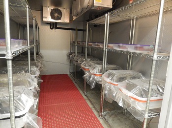 Figure 11. This image shows the walk-in environmental chamber with metal shelves throughout.