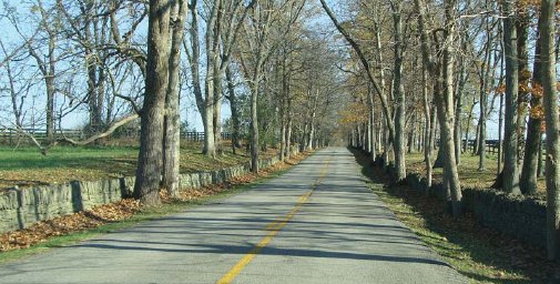 "A long, straight two-way road that stretches into the distance in a rural area."