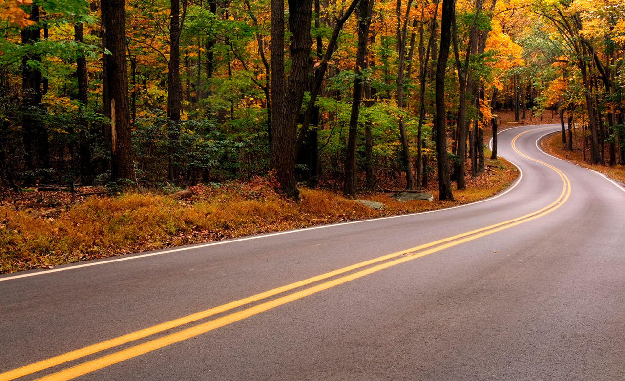 ""photo from Unit 3 of the Road Safety Fundamentals report showing a winding rural road though a colorful forest in autumn