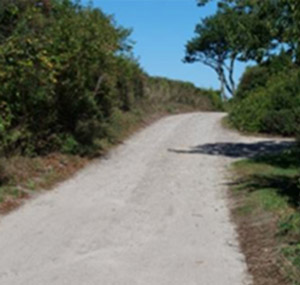 "Photo. A rural unpaved road. "