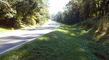 Photo of cleared area of trees and brush along side of road where the road curves.