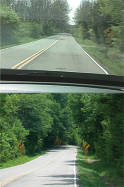 "two photos of the same stretch of paved road, surrounded by trees on both sides: the top photo shows one yellow 'S'/30 MPH caution sign on the right side of the road; the bottom photo shows one on each side of the road and a third, large caution sign in the distance where the road begins to curve"