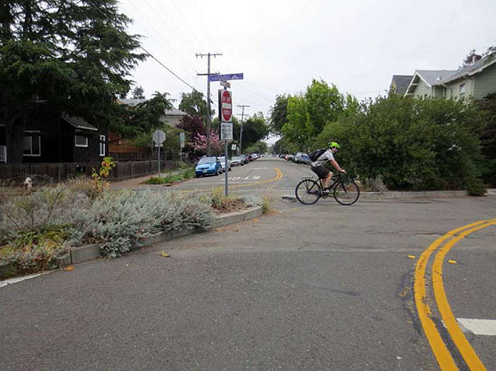 "Figure 3.21.2. Diagonal Diverter in a Residential Area. This figure contains a photograph of a diagonal diverter taken from a leg which curves to the right. A cyclist is travelling through the channel cut between the diverters. The diverters contain overgrown landscaping. The diverter to the left contains a signpost holding a "Do Not Enter" sign and street signs. Cars are parked in the leg opposite the one the picture was taken from."