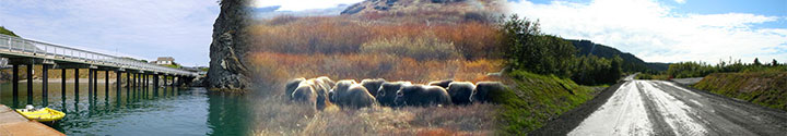 Tribal Transportation banner depicting images of bridges, bison, and roads.