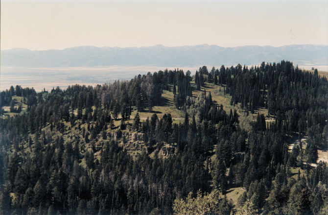 Grand Targhee