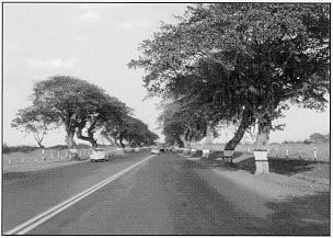 Photo: Inter-American Highway in Nicaragua