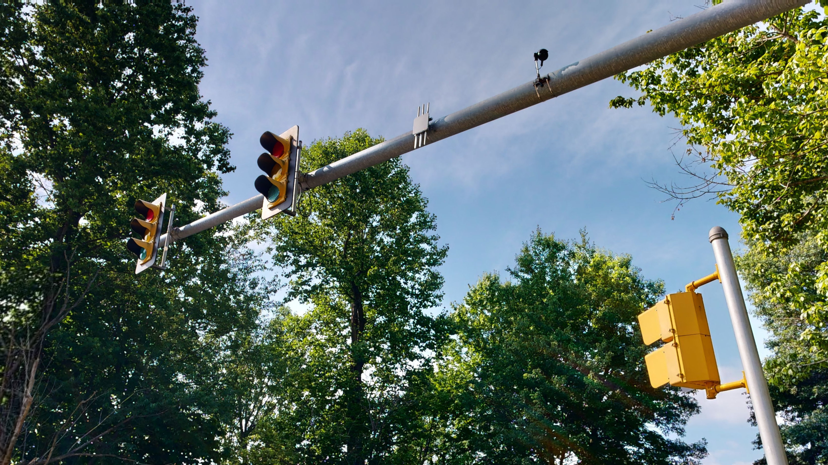 Traffic signals and a pedestrian walk signal on poles. 